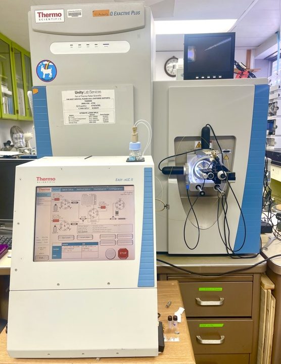 Thermo Q Exactive Plus Orbitrap LC-MS